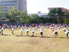 運動会 体操